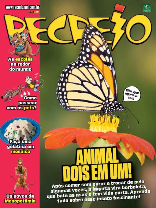 Cover image for Recreio